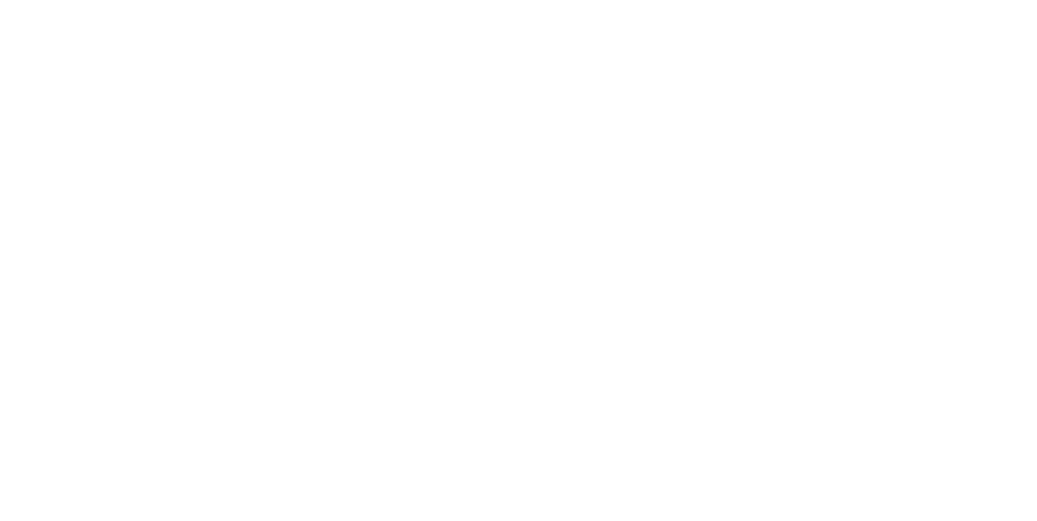 Official Bluey logo white transparent