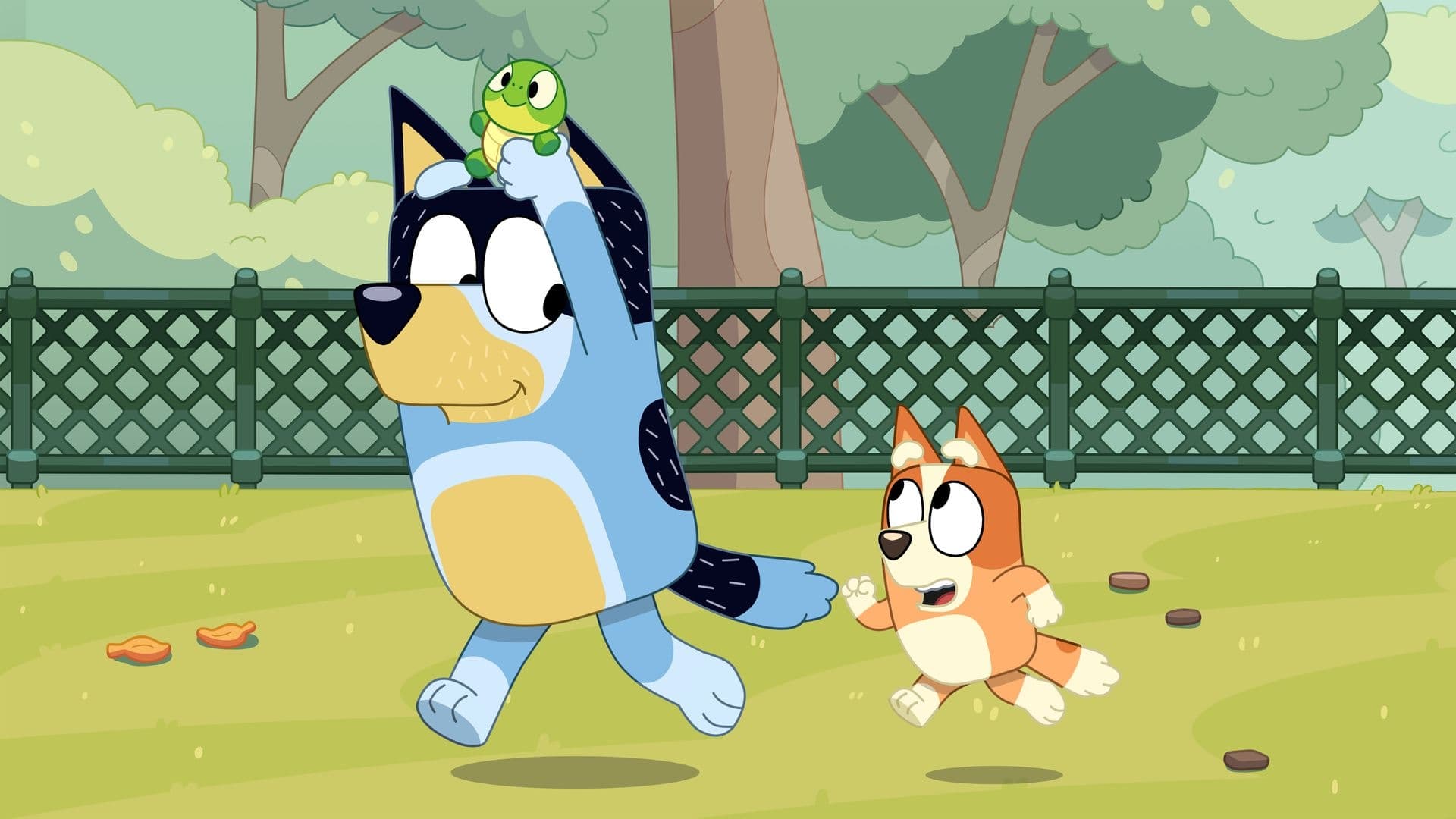 Still from Bluey episode Turtleboy