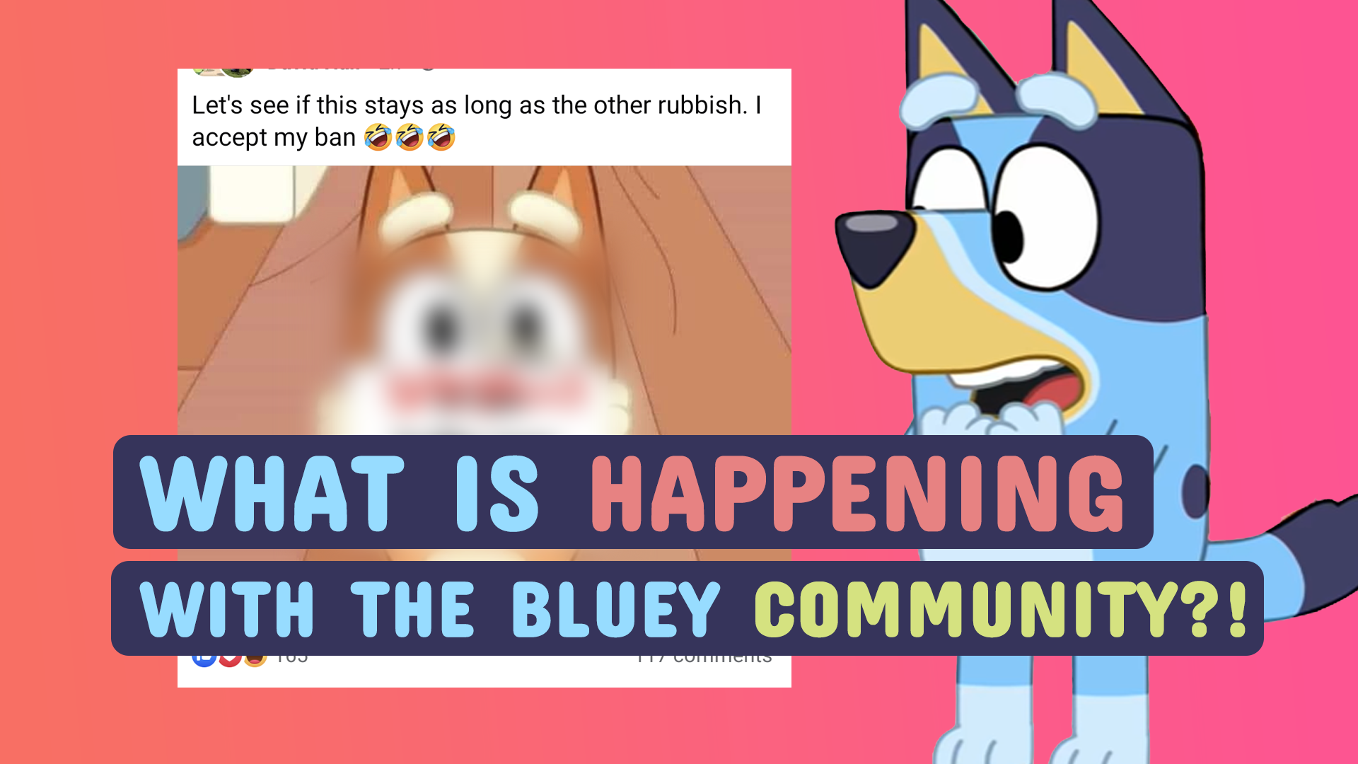 What Is Happening With the Bluey Facebook Community?