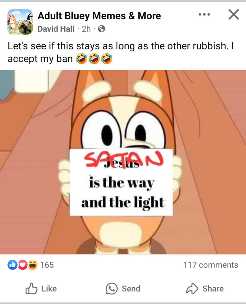 An example of a controversial post from the Bluey Facebook group "Adult Bluey Memes & More" with more than 200 thousand members